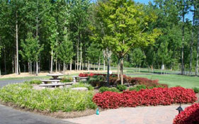 Southern MD landscape contractor